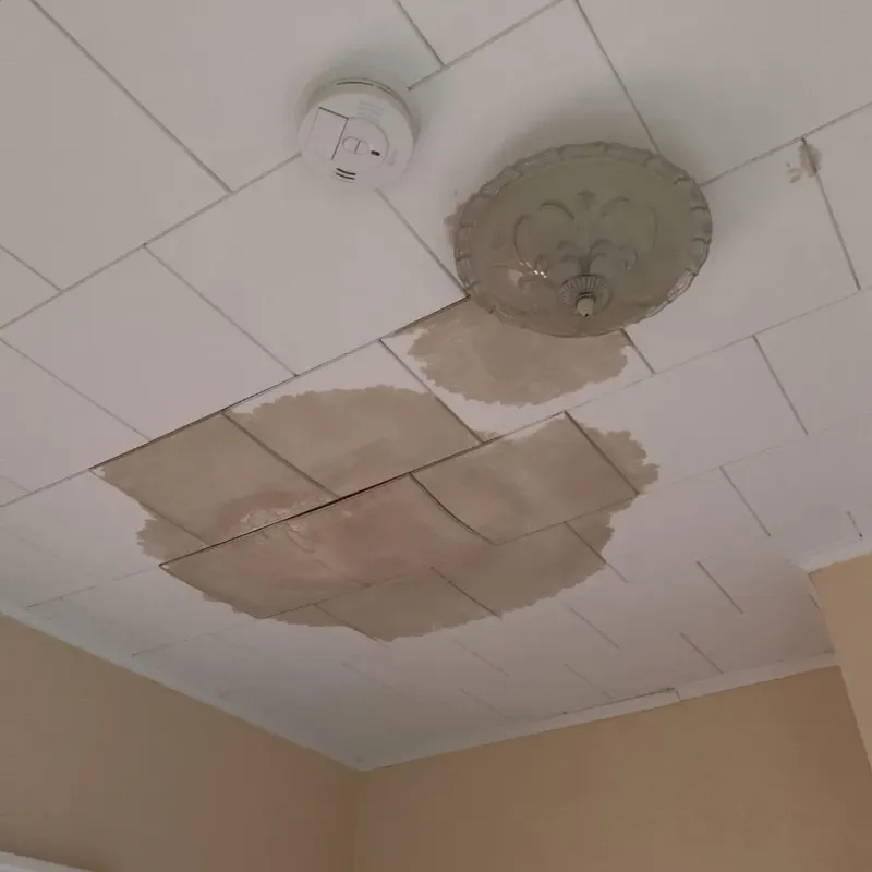 Ceiling Water Damage Repair in Brownfield, ME