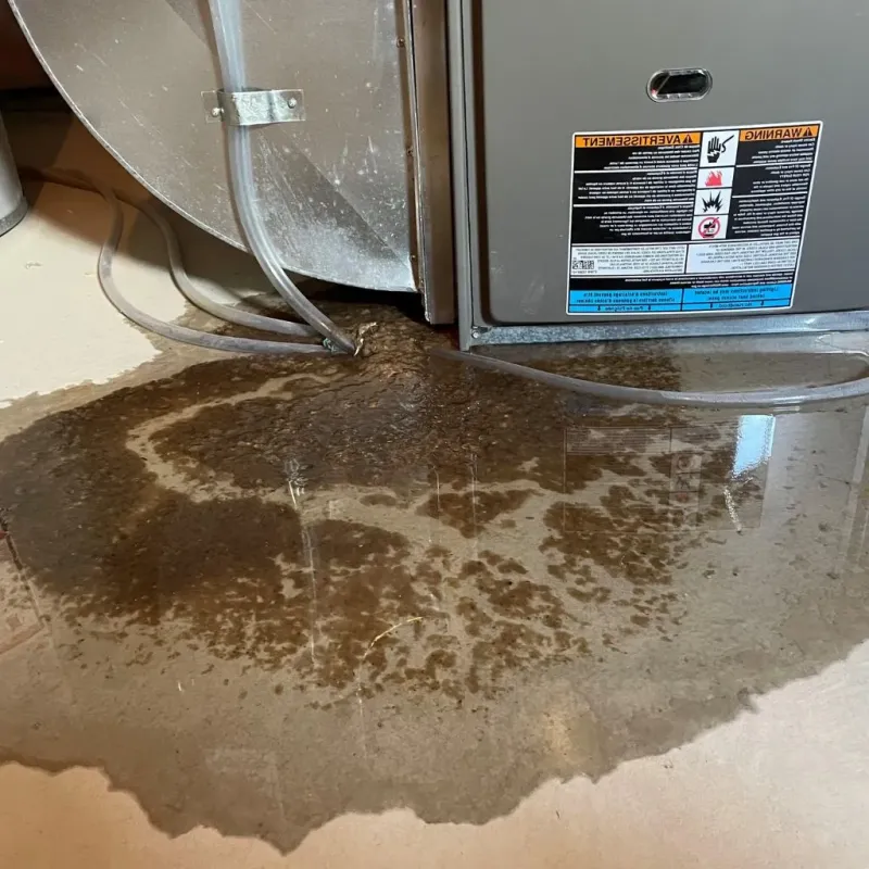 Pipe Burst and Leak Restoration in Brownfield, ME